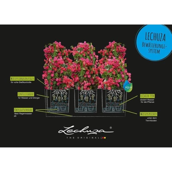 LECHUZA Trio Stone 30 plantering - komplett kit, stengrå - Med vattenreserv - Plast - Rektangulär