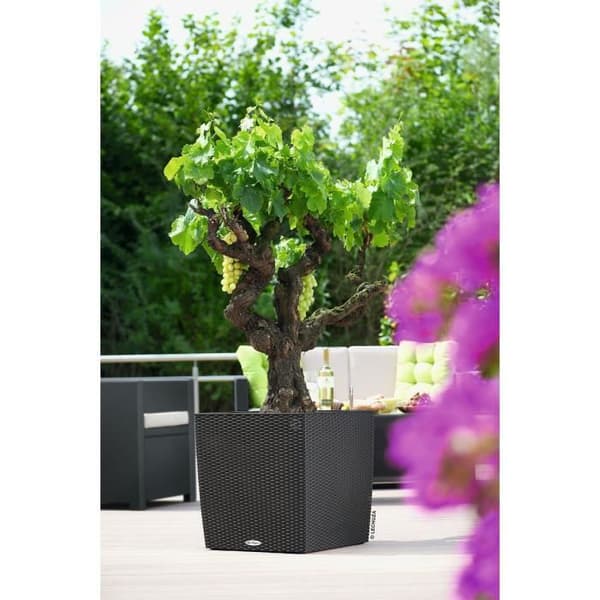 LECHUZA CUBE Cottage 50 Planteringskärl - Granit - Automatisk bevattning - 61L - Flätdesign