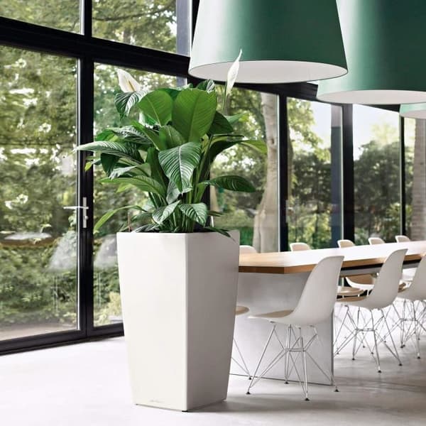 LECHUZA Cubico Premium 50 blomkruka - komplett set, glänsande scharlakansröd
