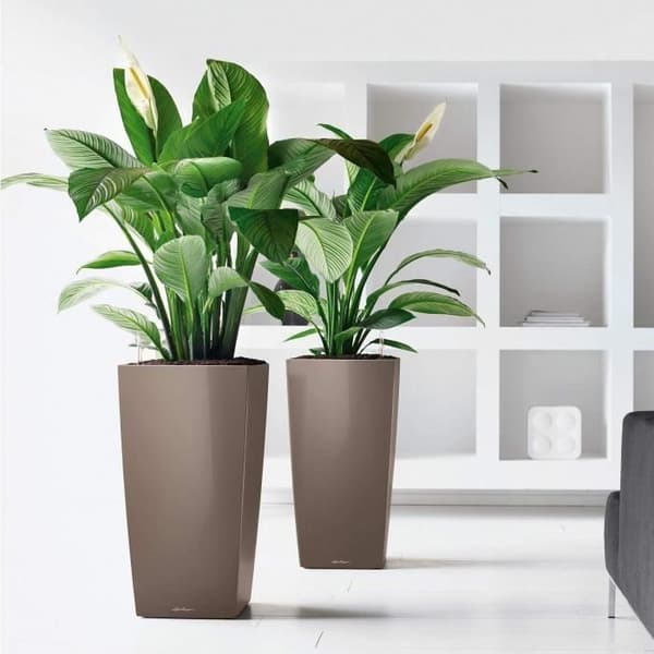 LECHUZA Cubico Premium 50 blomkruka - komplett set, glänsande scharlakansröd