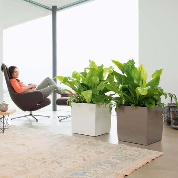 LECHUZA Cube Premium 40 blomkruka - komplett set, blank svart