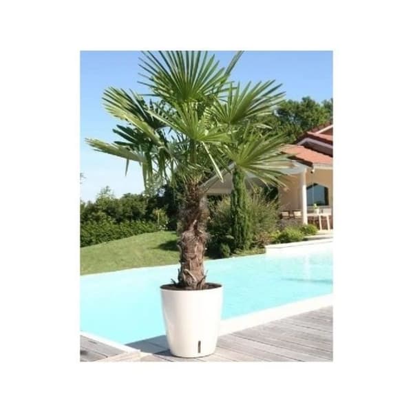 RIVIERA EVA NY rund blomsterlåda - Plast - Diameter 36 cm - Blå