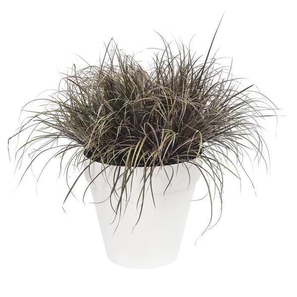 Blomkruka Elho Plast Rund Loft Urban Vit Ø 50 x H.44 cm 48 l