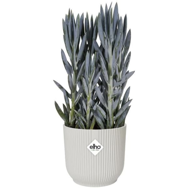 Elho VIBES Rund Blomkruka - Plast - Ø25xH 23,0 cm - Vit/Sidenvit