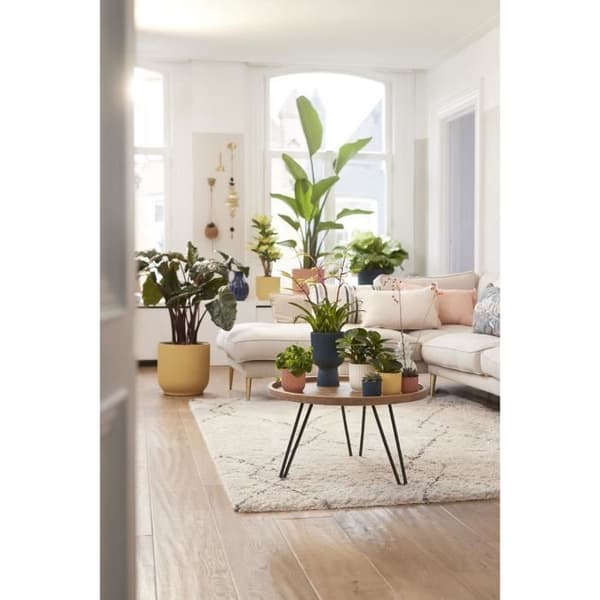 Elho VIBES Rund Blomkruka - Plast - Ø25xH 23,0 cm - Vit/Sidenvit