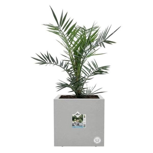 Elho Vivo Next Square 40 Blomlåda - Grå - Ø 39 x H 38 cm - inomhus; utomhus - 100 % återvunnen