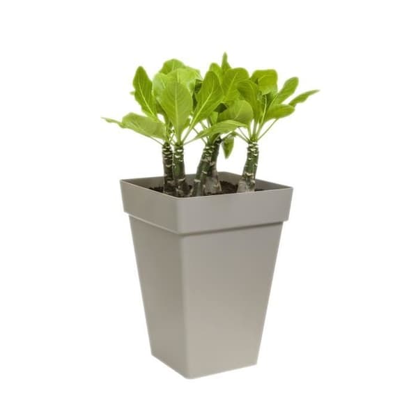 Elho Loft Urban Square Flower Box High 30 - Svart - Ø 29 x H 41 cm - utomhus - 100% återvunnet