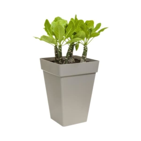 Elho Loft Urban Square Flower Box High 37 - Svart - Ø 37 x H 51 cm - utomhus - 100% återvunnet