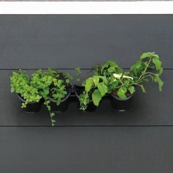Väggkruka - Väggsats bestående av ett väggstöd och 4 krukor (1 L) - Svart - Dim H 15 x L 60 cm - NATUR