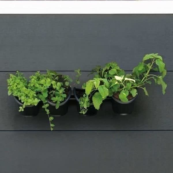Väggkruka - Väggsats bestående av ett väggstöd och 4 krukor (1 L) - Svart - Dim H 15 x L 60 cm - NATUR