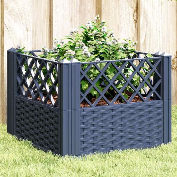 vidaXL Odlingslåda med piggar grå 43,5x43,5x43,5 cm PP