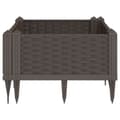 Miniatyrbillede 3 af 8: vidaXL plantekasse med spyd 42,5x42,5x28,5 cm PP brun