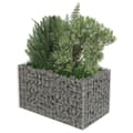 Miniatyrbild 5 av 9: vidaXL Planteringsgabion upphöjd galvaniserat stål 90x50x50 cm -  Krukor & odlingslådor