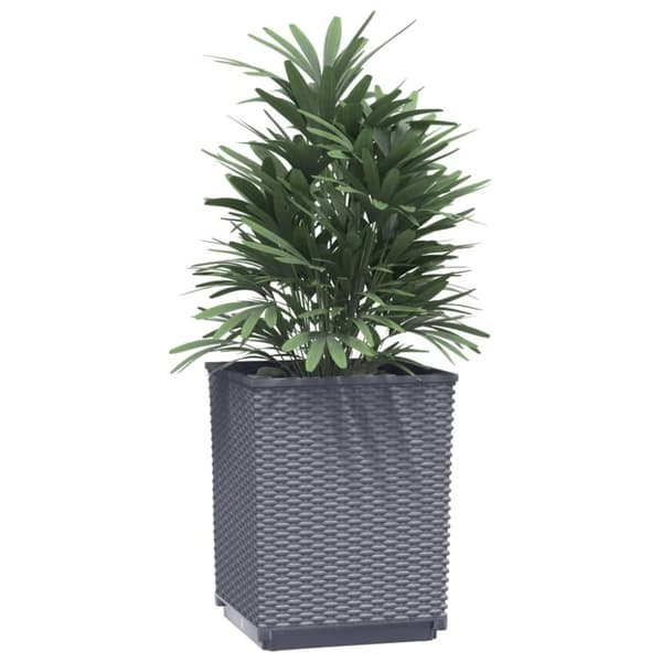 vidaXL Kukkalaatikot 2 kpl tummanharmaa 30x30x37 cm polypropeeni -  Kukkaruukut & istutuslaatikot