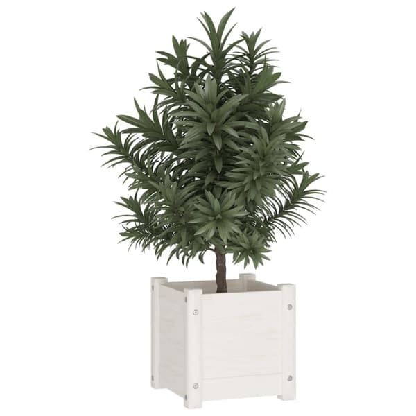 vidaXL Odlingslådor 2 st vit 31x31x31 cm massiv furu -  Krukor & odlingslådor
