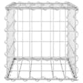 Miniatyrbillede 4 af 6: vidaXL gabion-højbed 30x30x30 cm kubeformet stål -  Plantekrukker