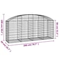 Miniatyrbillede 6 af 6: vidaXL buet gabionkurv 200x50x80/100 cm galvaniseret jern -  Plantekrukker