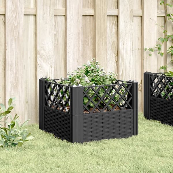 vidaXL Odlingslåda med piggar svart 43,5x43,5x43,5 cm PP -  Krukor & odlingslådor