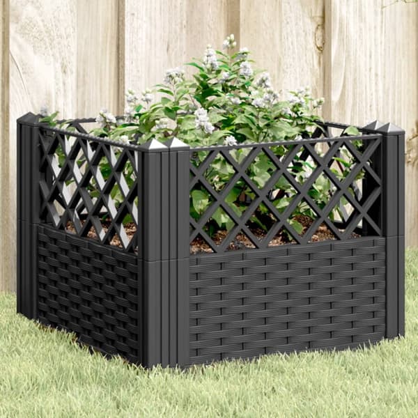 vidaXL Odlingslåda med piggar svart 43,5x43,5x43,5 cm PP -  Krukor & odlingslådor