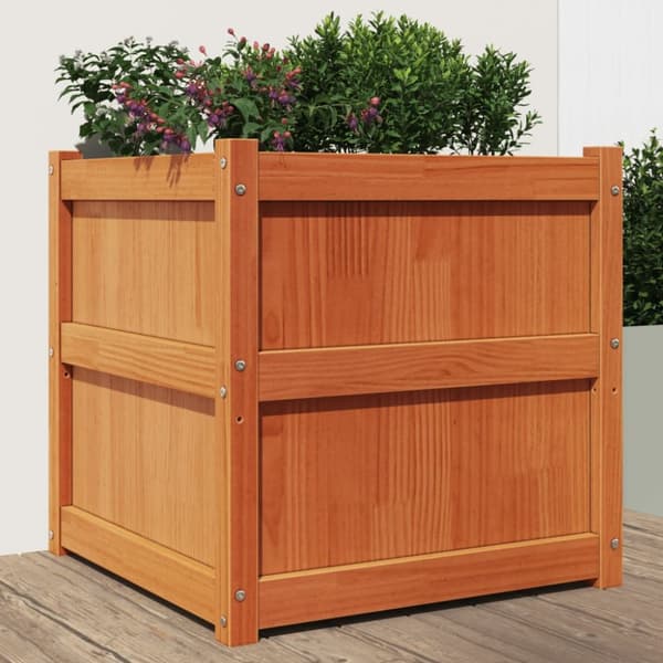 vidaXL plantekasse 60x60x60 cm massivt fyrretræ gyldenbrun -  Plantekrukker