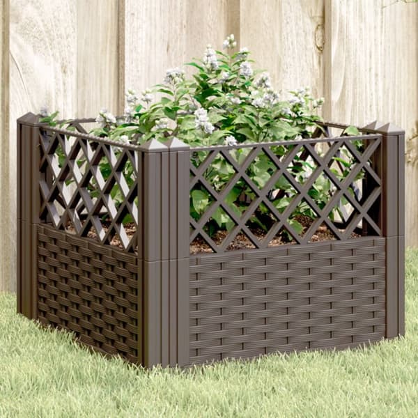 vidaXL Odlingslåda med piggar brun 43,5x43,5x43,5 cm PP -  Krukor & odlingslådor