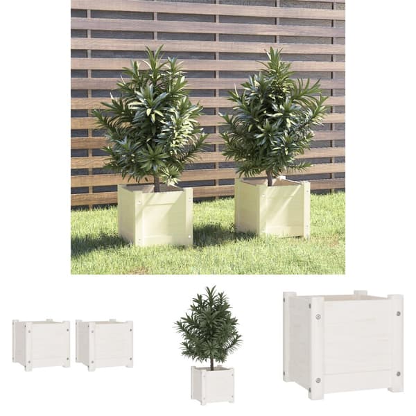 The Living Store plantekasser 2 stk. 31x31x31 cm massivt fyrretræ hvid - Plantekrukker