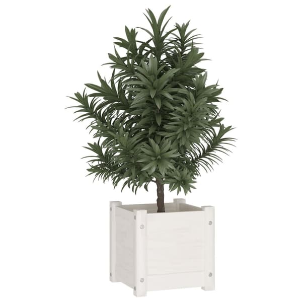 The Living Store plantekasse 31x31x31 cm massivt fyrretræ hvid - Plantekrukker