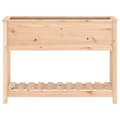 Miniatyrbillede 6 af 9: The Living Store plantekasse med hylde 111,5x34,5x81 cm massivt fyrretræ -  Plantekrukker