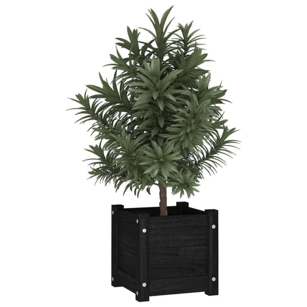 The Living Store plantekasse 31x31x31 cm massivt fyrretræ sort - Plantekrukker