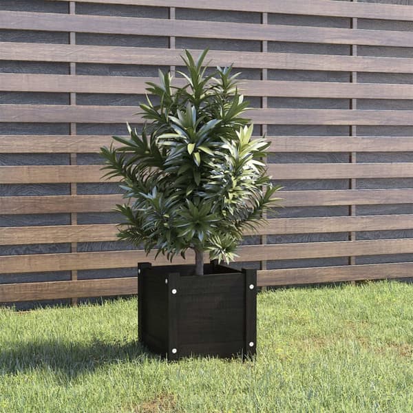 The Living Store plantekasse 31x31x31 cm massivt fyrretræ sort - Plantekrukker
