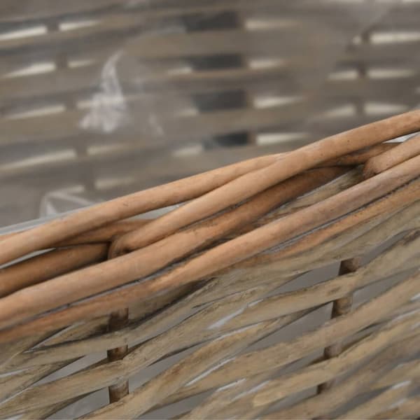 The Living Store Parvekkeen kukkalaatikko 2 kpl paju PE-vuori 40 cm -  Kukkaruukut & istutuslaatikot