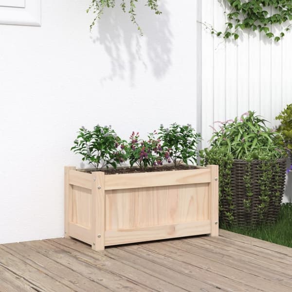 The Living Store Odlingslåda 60x31x31 cm massiv furu -  Krukor & odlingslådor