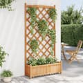 Miniatyrbillede 4 af 9: The Living Store plantekasse med espalier massivt grantræ brun -  Plantekrukker