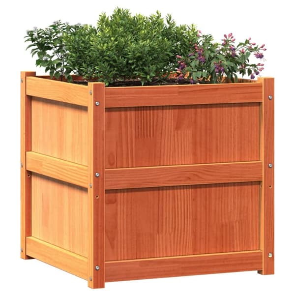 The Living Store plantekasser 2 stk. massivt fyrretræ gyldenbrun - Plantekrukker
