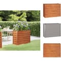 Pikkukuva 1 / 9: Kukkaruukut & istutuslaatikot - Living Korotettu kukkalaatikko ruoste 100x40x77 cm Corten teräs
