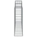 Miniatyrbillede 5 af 6: Plantekrukker - Living buet gabionkurv 200x30x100/120 cm galvaniseret jern