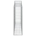 Miniatyrbillede 6 af 7: Plantekrukker - Living buede gabionkurve 3 stk. 200x30x100/120 cm galvaniseret jern