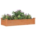 Miniatyrbillede 4 af 9: Plantekrukker - Living højbed med foring 120x45x25 cm massivt fyrretræ brun