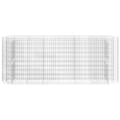 Miniatyrbillede 4 af 9: Plantekrukker - Living gabion-højbed 260x50x100 cm galvaniseret jern