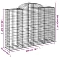 Miniatyrbillede 7 af 7: Plantekrukker - Living buede gabionkurve 2 stk. 200x50x140/160 cm galvaniseret jern