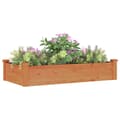 Miniatyrbillede 4 af 9: Plantekrukker - Living højbed med foring 120x60x25 cm massivt fyrretræ brun