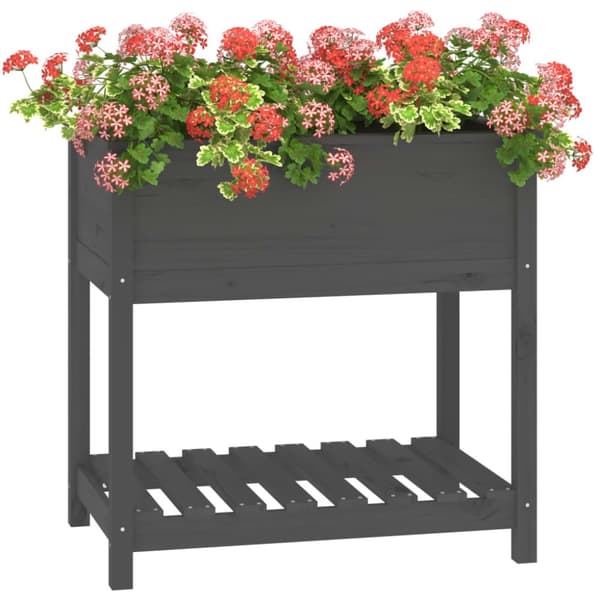 Plantekrukker - Living plantekasse med hylde 82,5x54x81 cm massivt fyrretræ grå