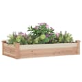 Miniatyrbillede 4 af 9: Plantekrukker - Living højbed med foring 120x60x25 cm massivt fyrretræ