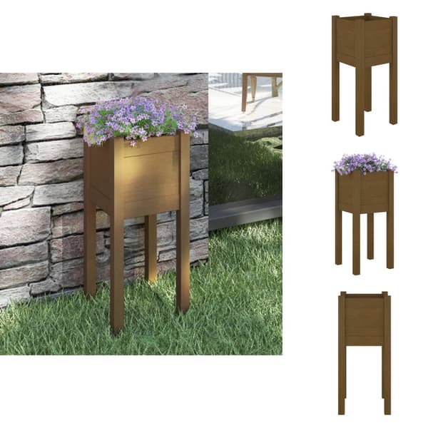 Plantekrukker - Living plantekasse 31x31x70 cm massivt fyrretræ gyldenbrun