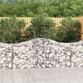 Miniatyrbillede 2 af 7: Plantekrukker - Living buede gabionkurve 6 stk. 200x50x80/100 cm galvaniseret jern