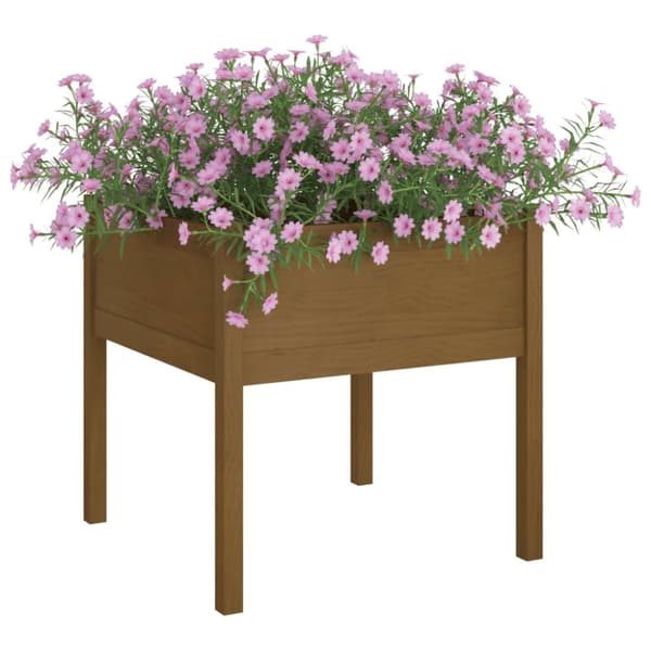 Plantekrukker - Living plantekasse 70x70x70 cm massivt fyrretræ gyldenbrun