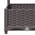 Miniatyrbillede 8 af 9: Plantekrukker - Living plantekasse med espalier 120x40x121,5 cm PP brun
