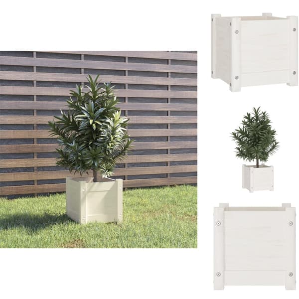 Plantekrukker - Living plantekasse 31x31x31 cm massivt fyrretræ hvid