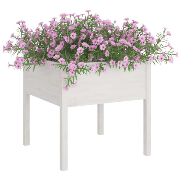 Odlingslådor 2 st vit 70x70x70 cm massiv furu - Trädgårdslåda - Trädgårdslådor - Home & Living