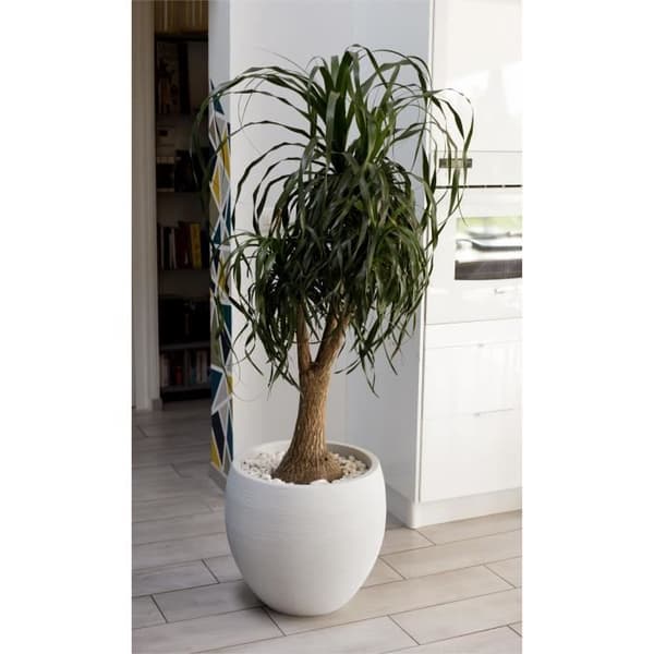 EDA Graphit rund kruka Ø50cm - Kapacitet 46L - Vit kalkad